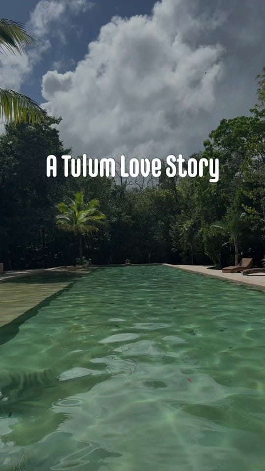 Post 6 by WildHugs on TikTok (video)