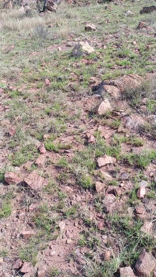 Post 2 by Mamosebeletsi Andronica🔱🔱🌚 on TikTok (video)