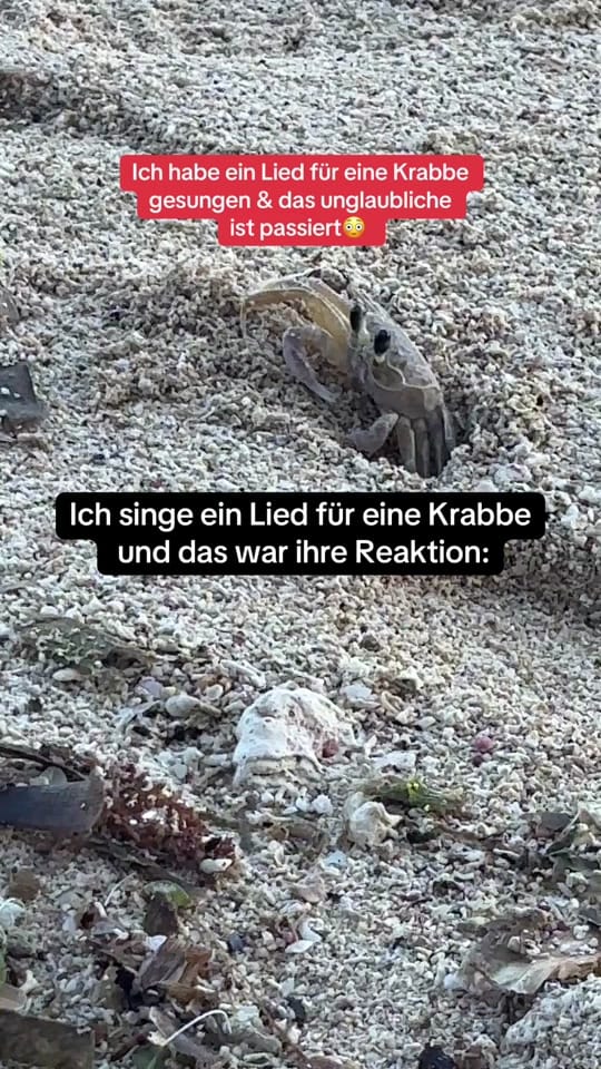 Post 7 by ✨Manifestja✨ on TikTok (video)