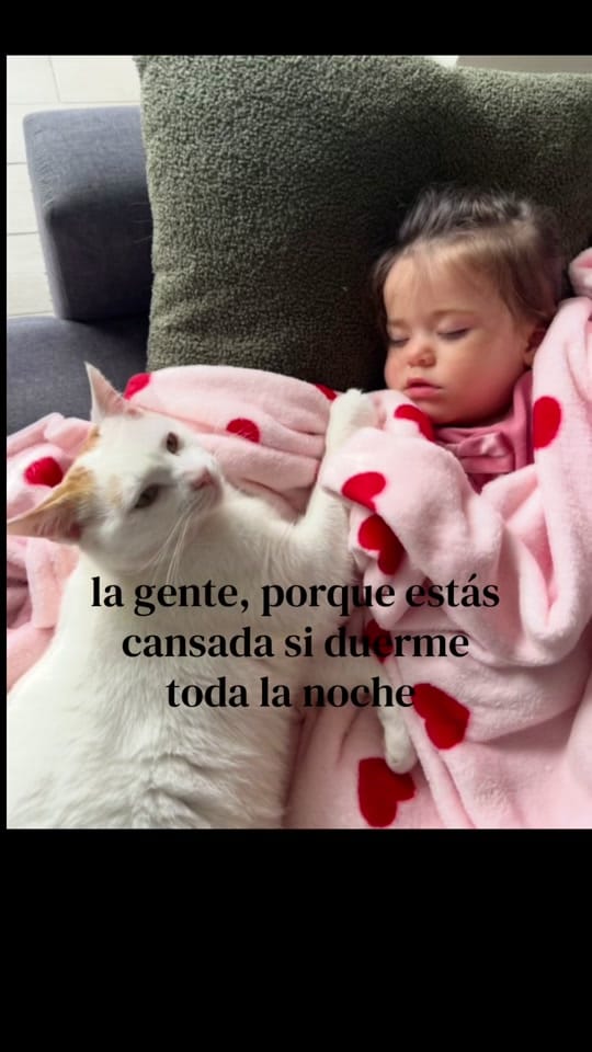 Post 7 by Nerea on TikTok (video)