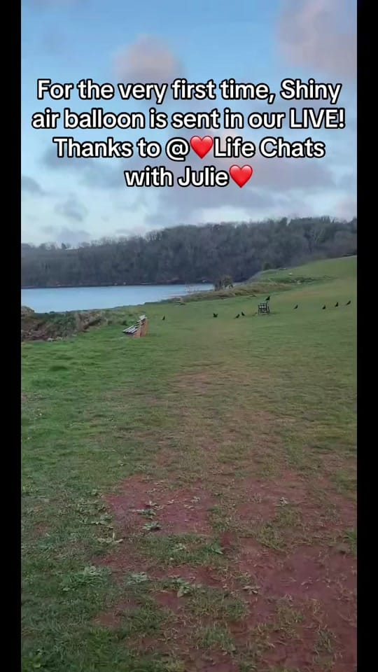 Post 2 by ✨🪬Lisa D🪬✨ on TikTok (video)