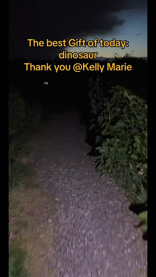 Post 1 by ✨🪬Lisa D🪬✨ on TikTok (video)