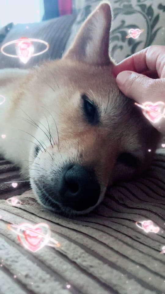 Post 10 by ✨🪬Lisa D🪬✨ on TikTok (video)