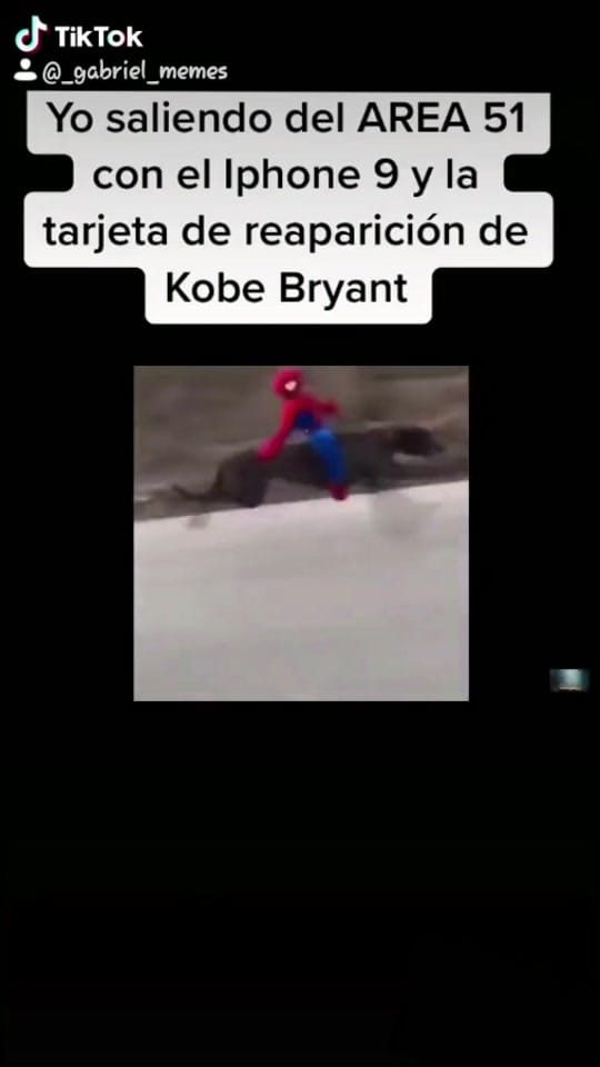 Post 7 by cocacolajijija on TikTok (video)