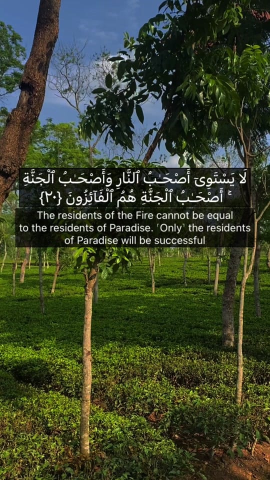 Post 6 by IslamicEssence on TikTok (video)