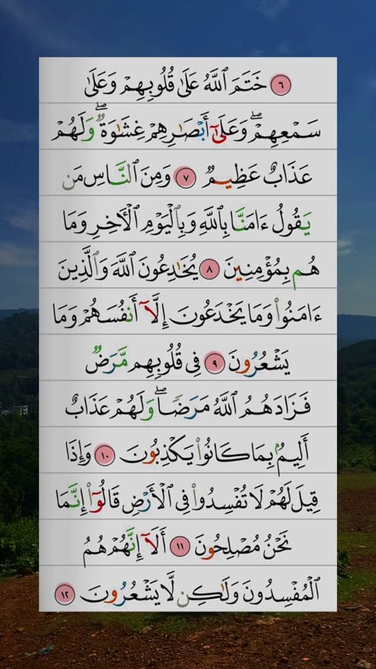 Post 5 by IslamicEssence on TikTok (video)