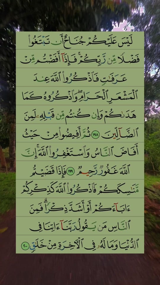 Post 7 by IslamicEssence on TikTok (video)