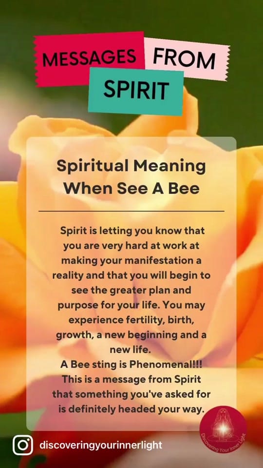 Post 10 by Dr Dawn PhD on TikTok (video)