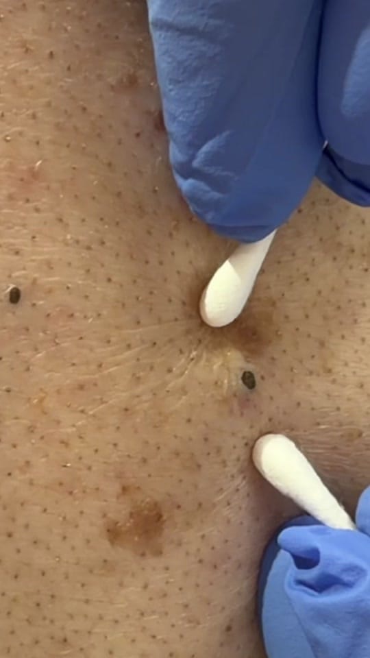Post 5 by Dr. David Myers on TikTok (video)