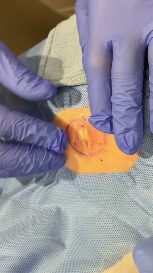 Post 4 by Dr. David Myers on TikTok (video)