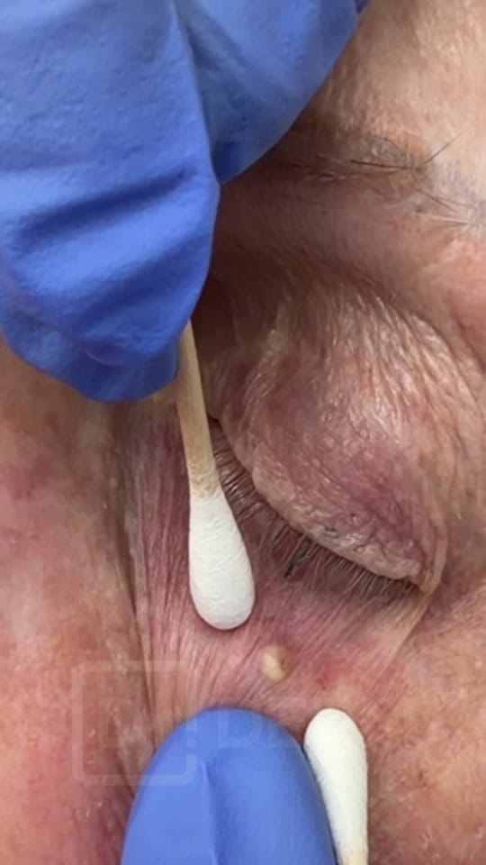 Post 6 by Dr. David Myers on TikTok (video)