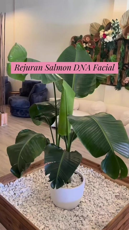 Post 4 by Mysa Medical & Wellness Spa on TikTok (video)