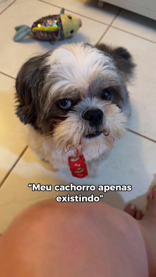 Post 5 by Cristiane Dalastra on TikTok (video)