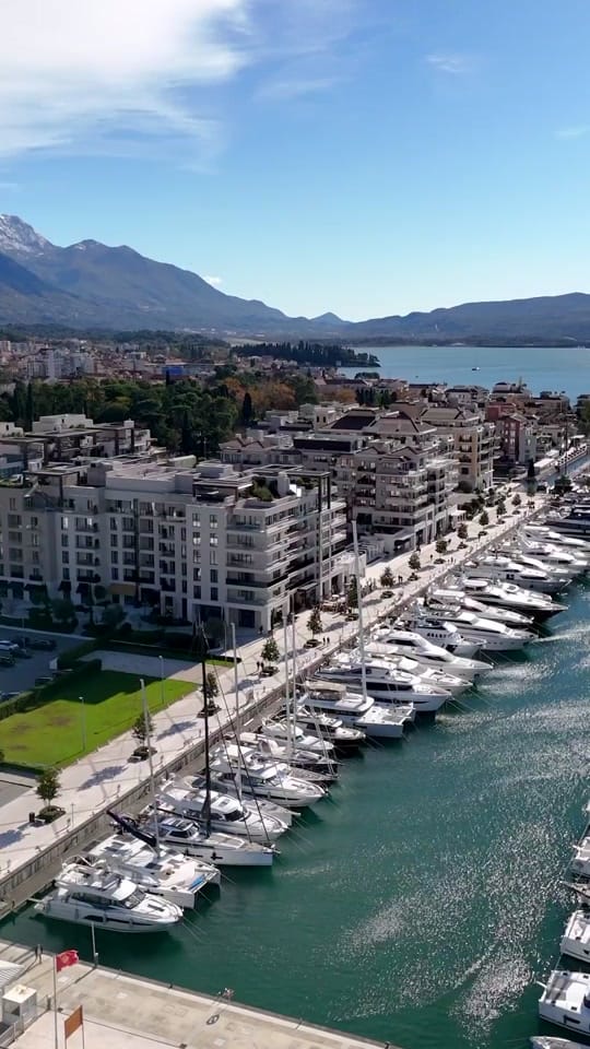Post 8 by Montenegro Sotheby's Realty on TikTok (video)