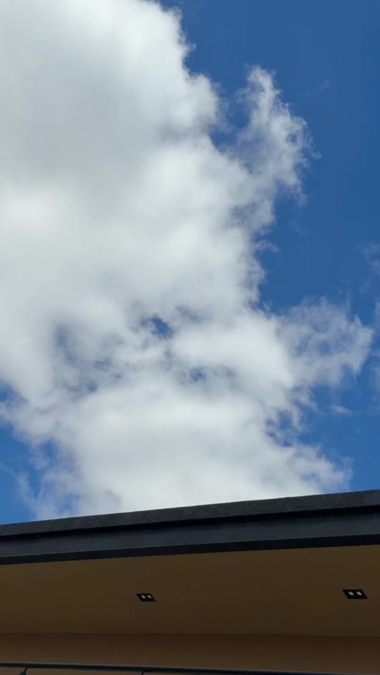 Post 8 by vitoriaandradereal on TikTok (video)
