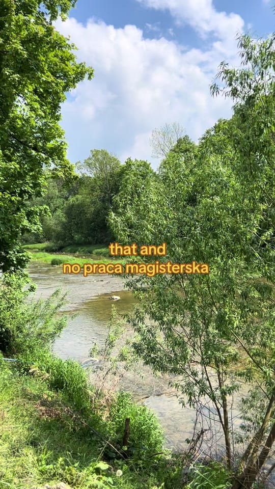 Post 5 by Paula Misygar on TikTok (video)