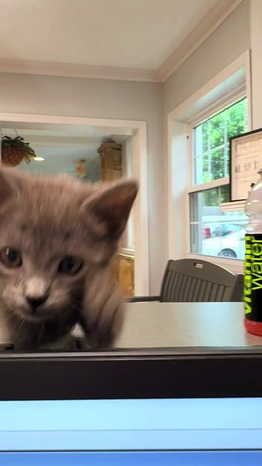 Post 2 by The Tablets on TikTok (video)