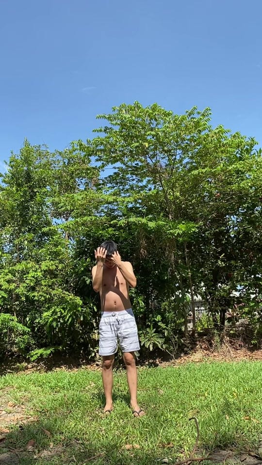 Post 8 by Troy Palma on TikTok (video)