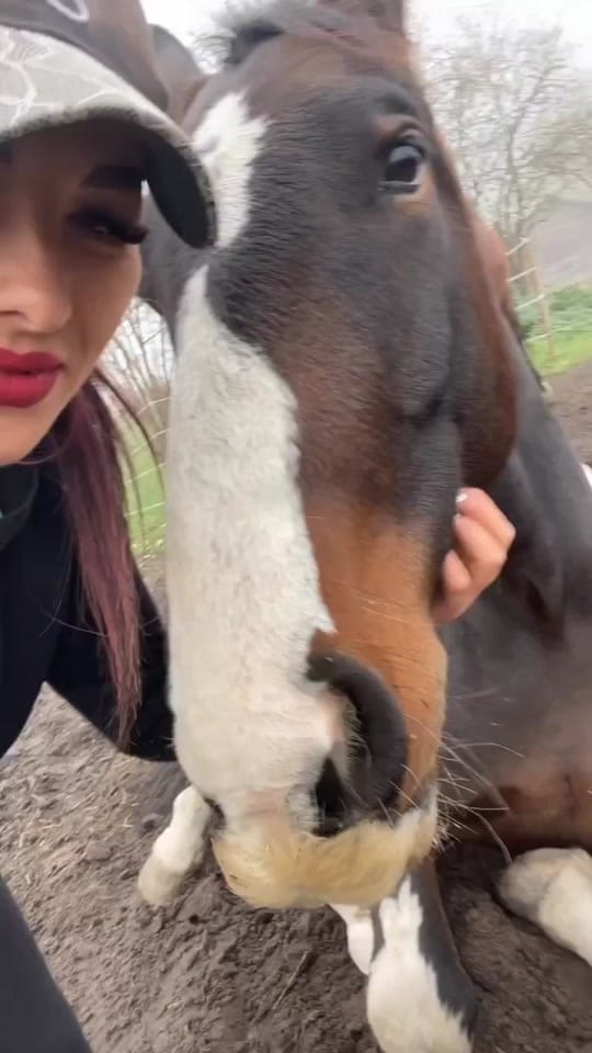 Post 5 by Villakunterbunt on TikTok (video)