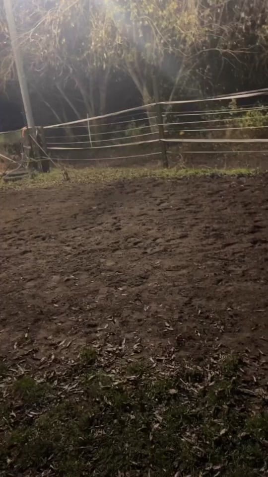 Post 2 by Villakunterbunt on TikTok (video)