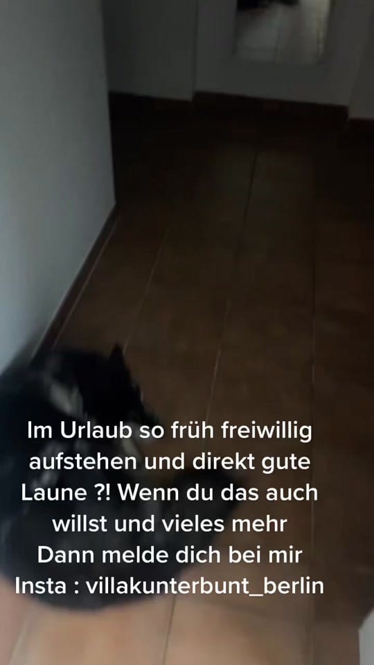Post 8 by Villakunterbunt on TikTok (video)