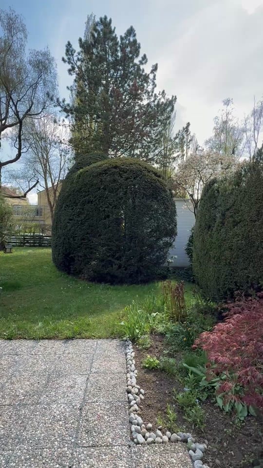 Post 4 by Mr. Lodge on TikTok (video)