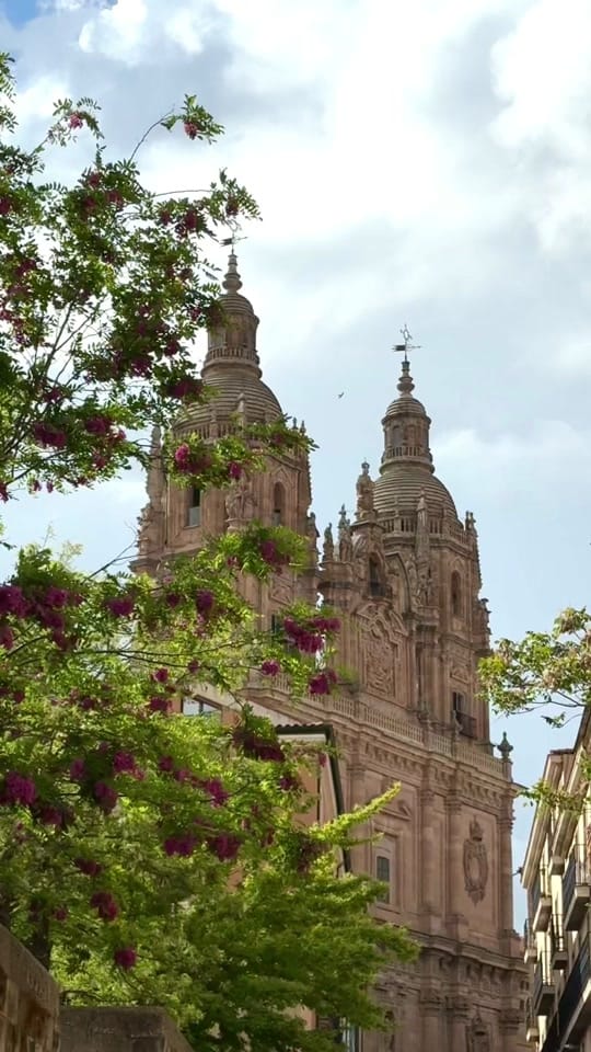 Post 5 by maría🌷 on TikTok (video)