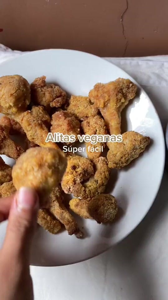 Post 9 by Vale vegana ✨ on TikTok (video)