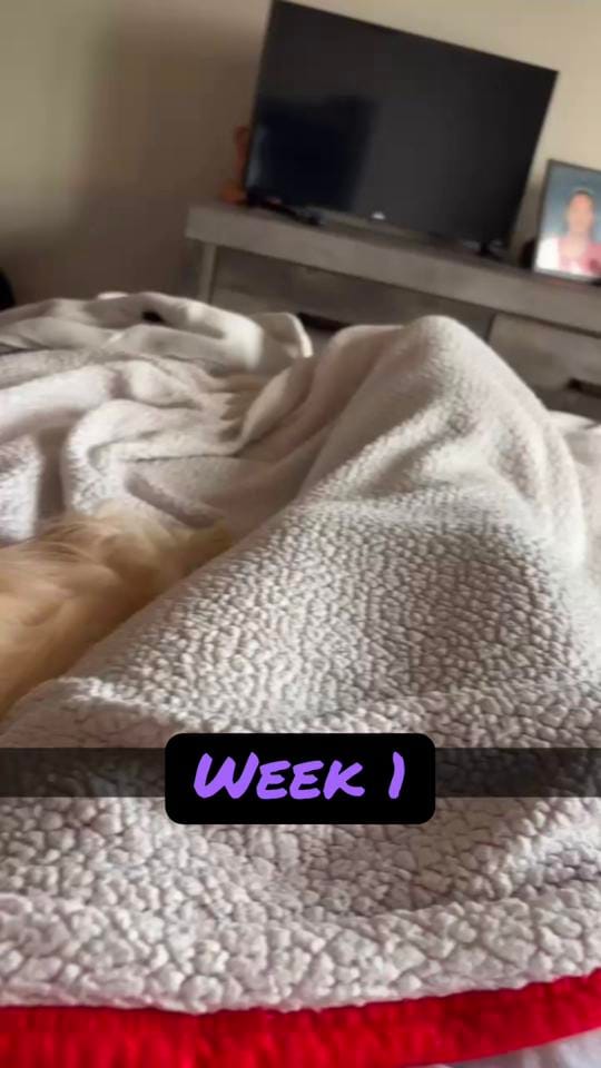 Post 3 by Britt on TikTok (video)