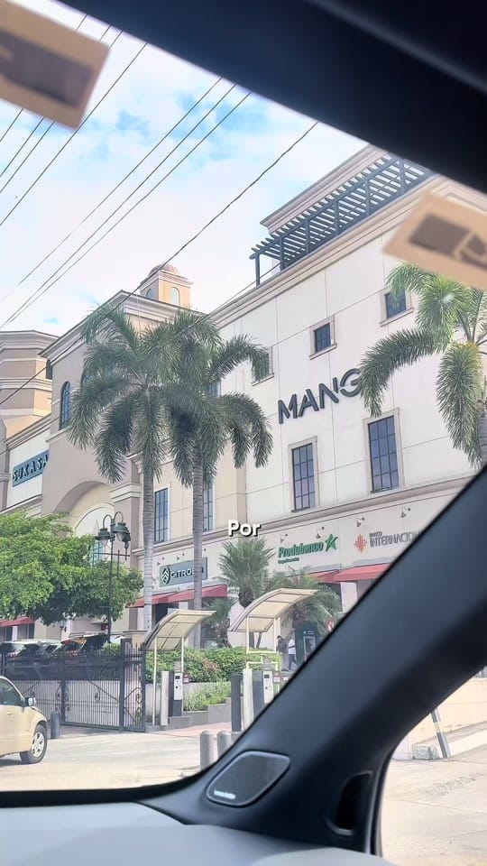 Post 5 by leona🦁 on TikTok (video)