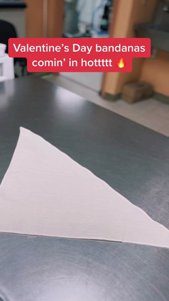 Post 8 by templeheightsvet on TikTok (video)