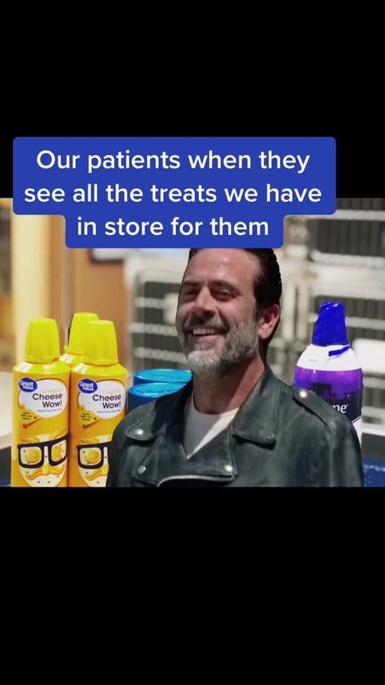 Post 3 by templeheightsvet on TikTok (video)