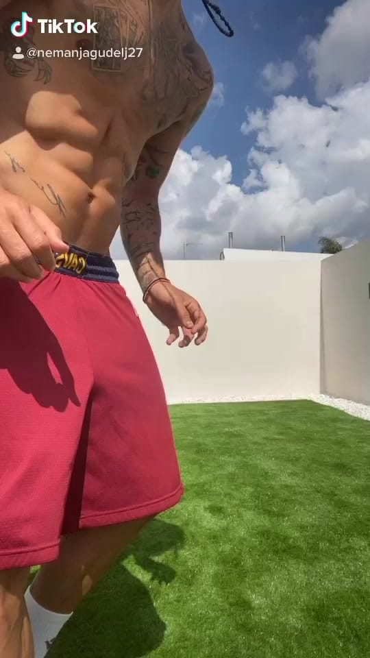 Post 5 by Nemanja Gudelj on TikTok (video)