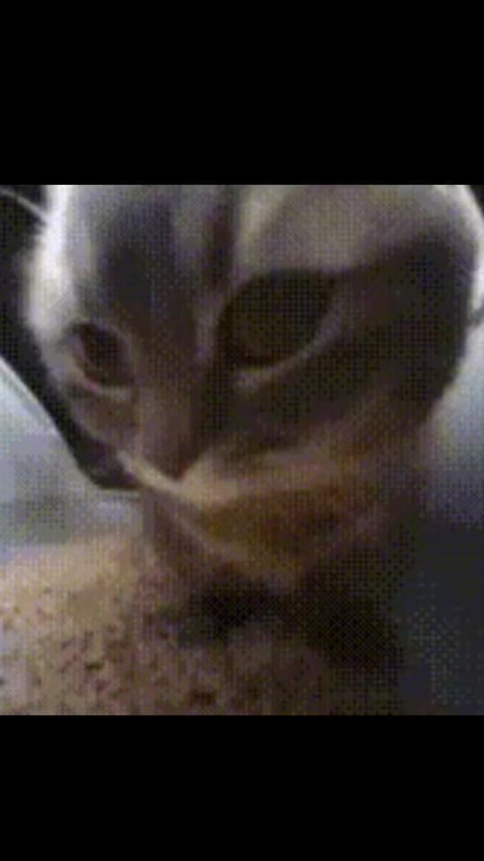 Post 10 by JuanilOnil on TikTok (video)