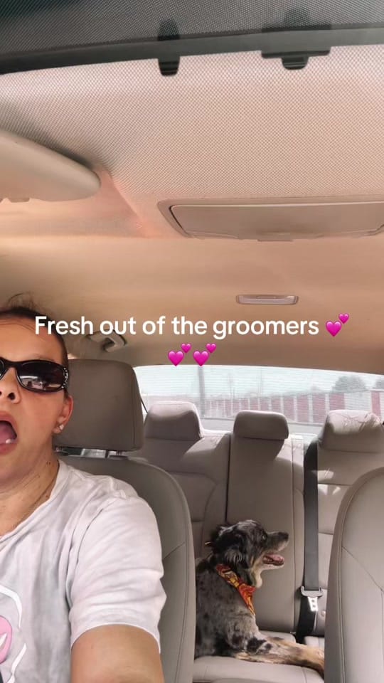 Post 2 by Toni5013💜💜❌ on TikTok (video)