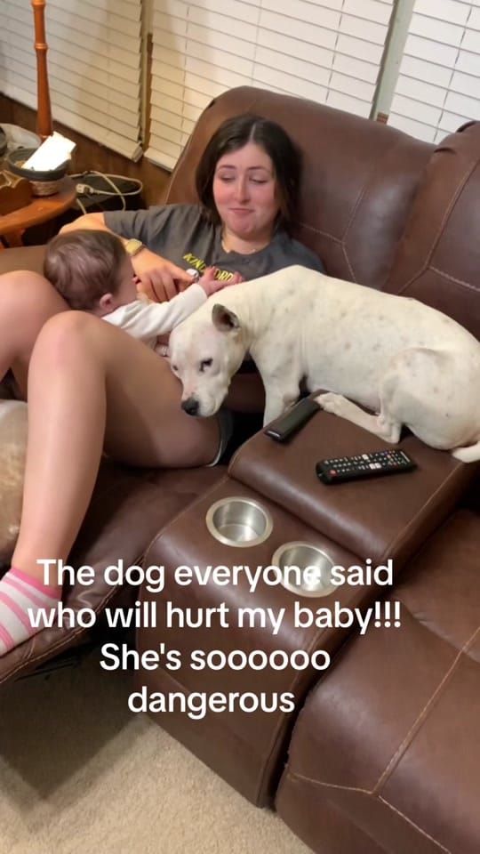 Post 8 by Meg🥰 on TikTok (video)