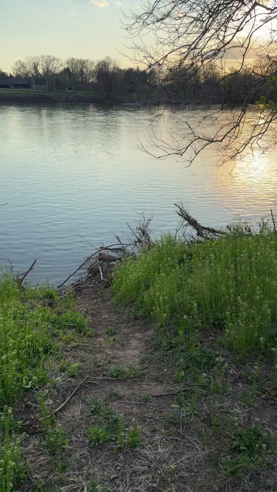 Post 8 by 🐦‍🔥👑 Ryan(She)44 🐦‍🔥 on TikTok (video)