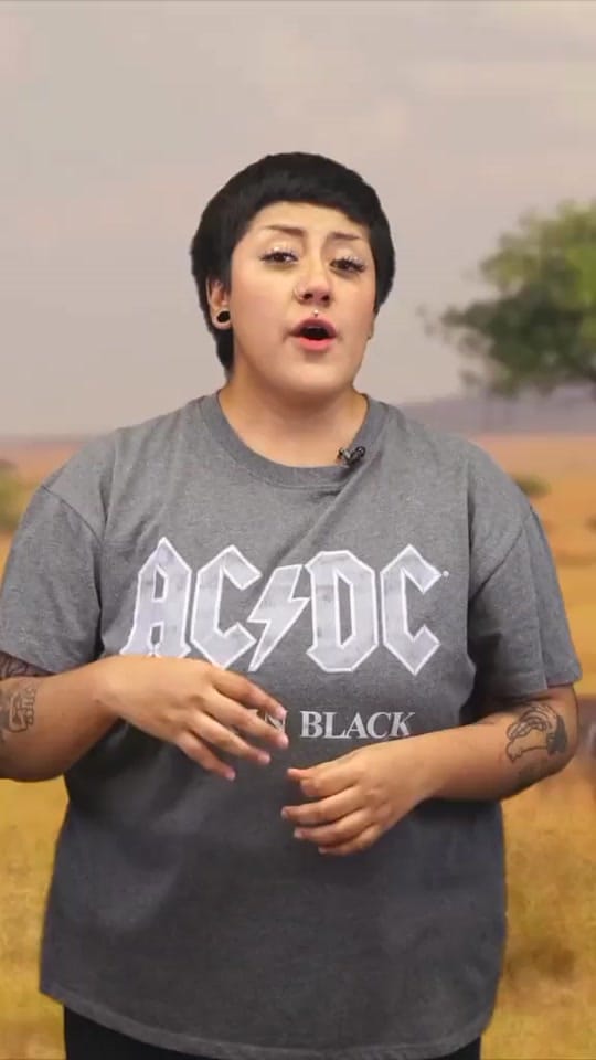 Post 9 by alavenquiloko on TikTok (video)