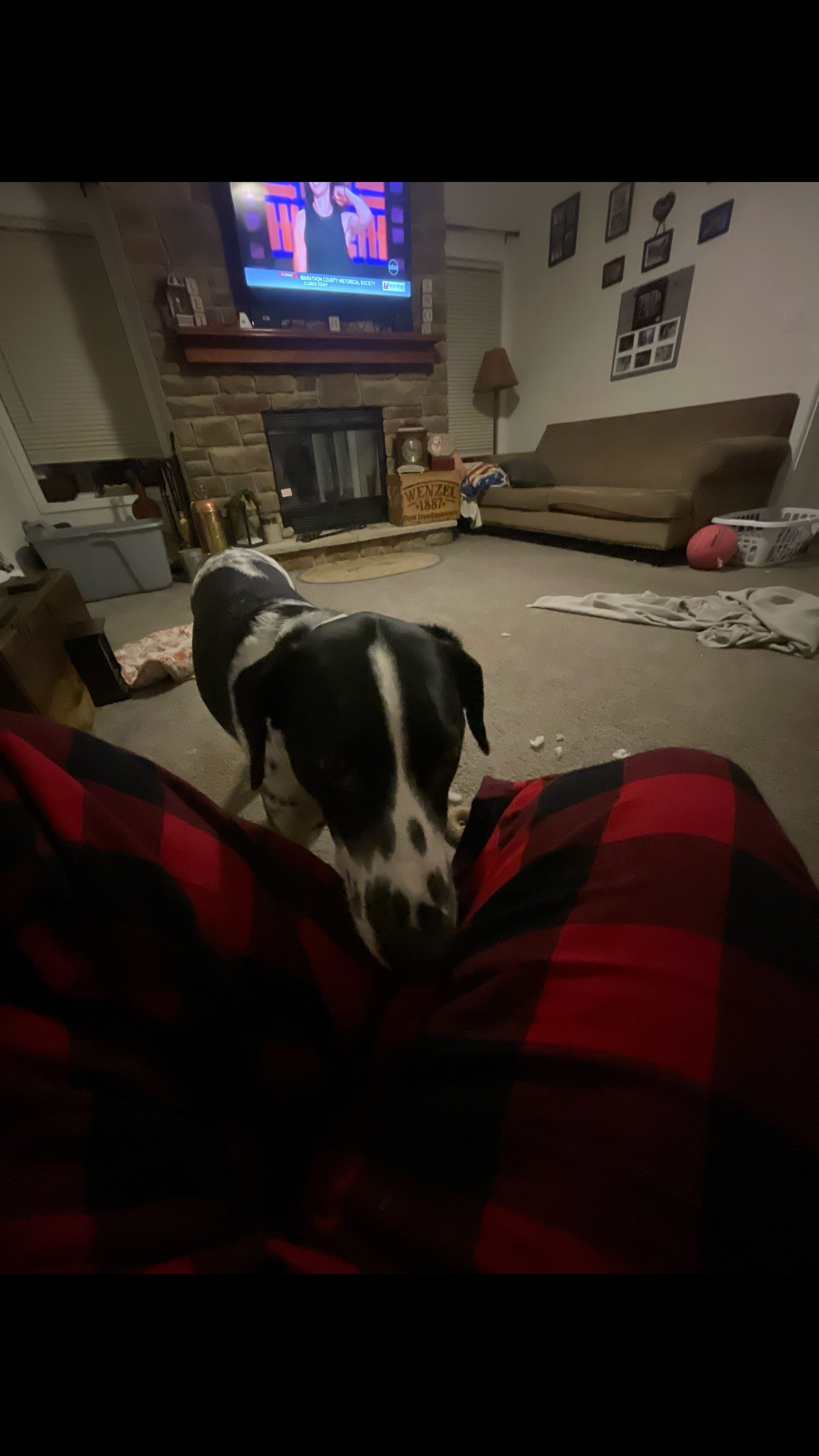 Post 7 by Julianna Frank on TikTok (video)