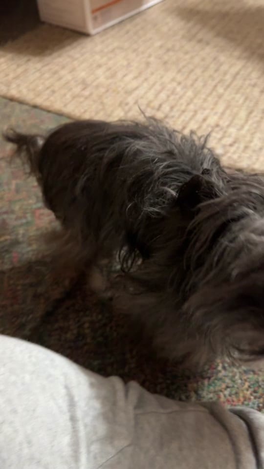 Post 2 by reborn stitch nursery on TikTok (video)