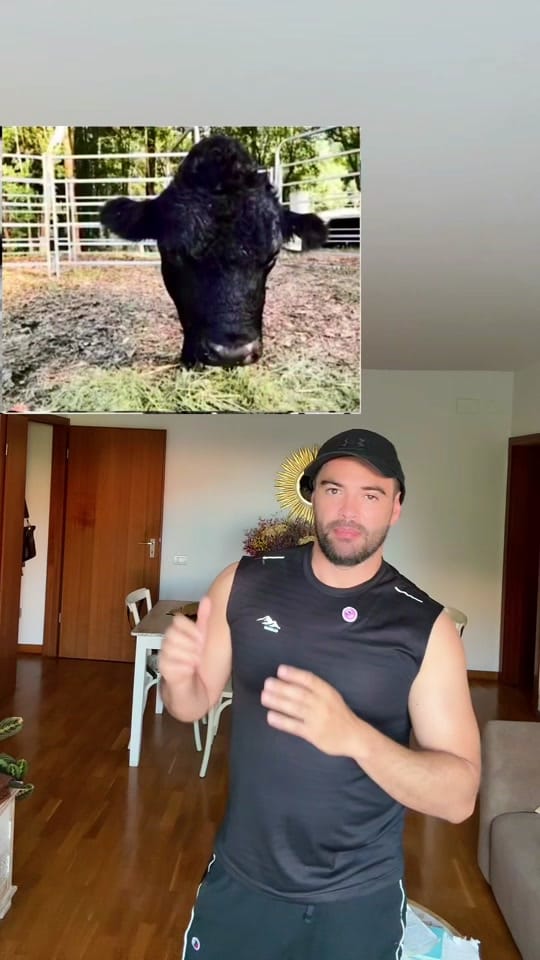 Post 1 by Gerardo Begérez 🐉 on TikTok (video)
