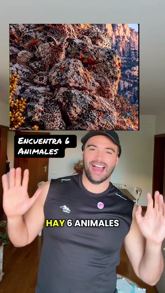 Post 3 by Gerardo Begérez 🐉 on TikTok (video)