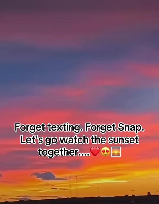 Post 8 by 🌻🌻𝓢𝓾𝓷𝓯𝓵𝓸𝔀𝓮𝓻🌻🌻 on TikTok (video)