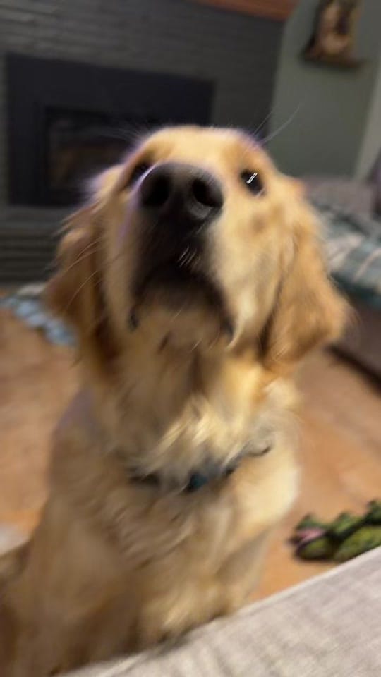 Post 4 by Nurse Mel 🩺🏳️‍🌈 on TikTok (video)
