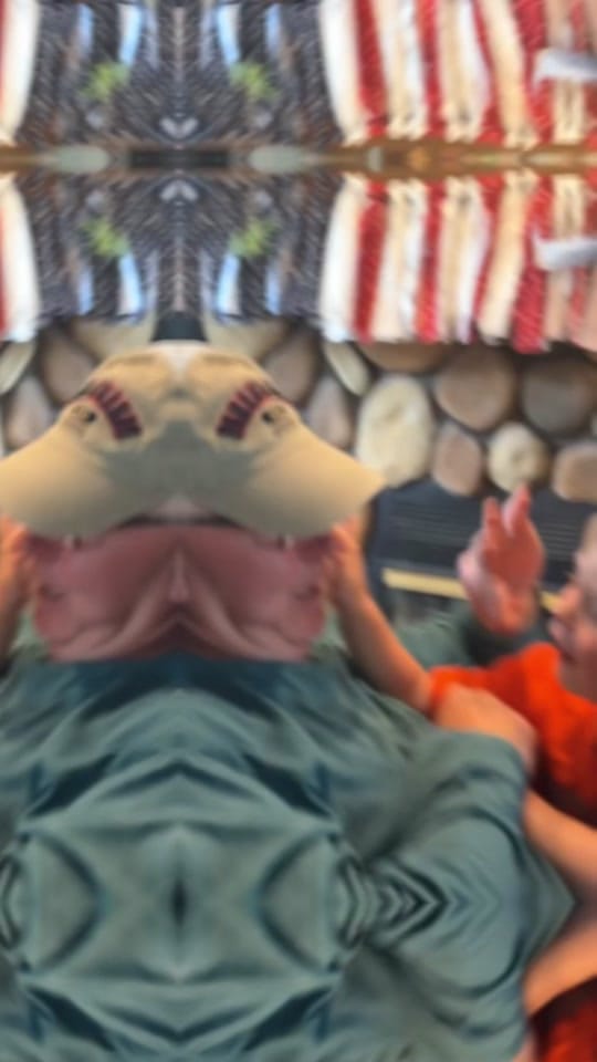 Post 7 by Carrie Raber on TikTok (video)