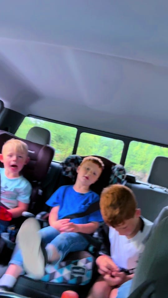 Post 3 by Carrie Raber on TikTok (video)