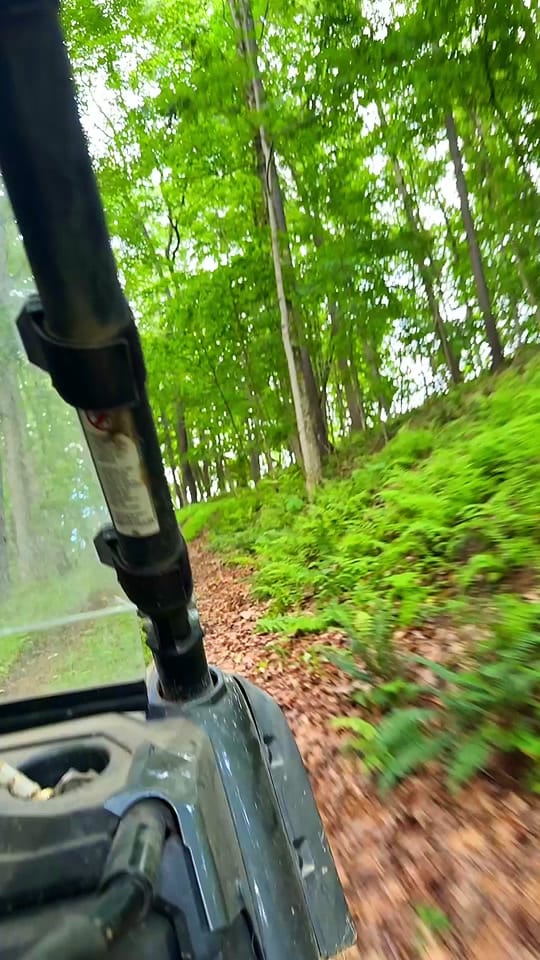 Post 2 by Carrie Raber on TikTok (video)