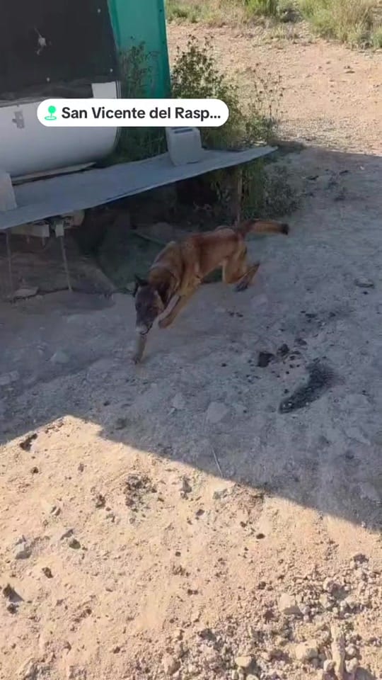 Post 6 by Asoka El Grande on TikTok (video)