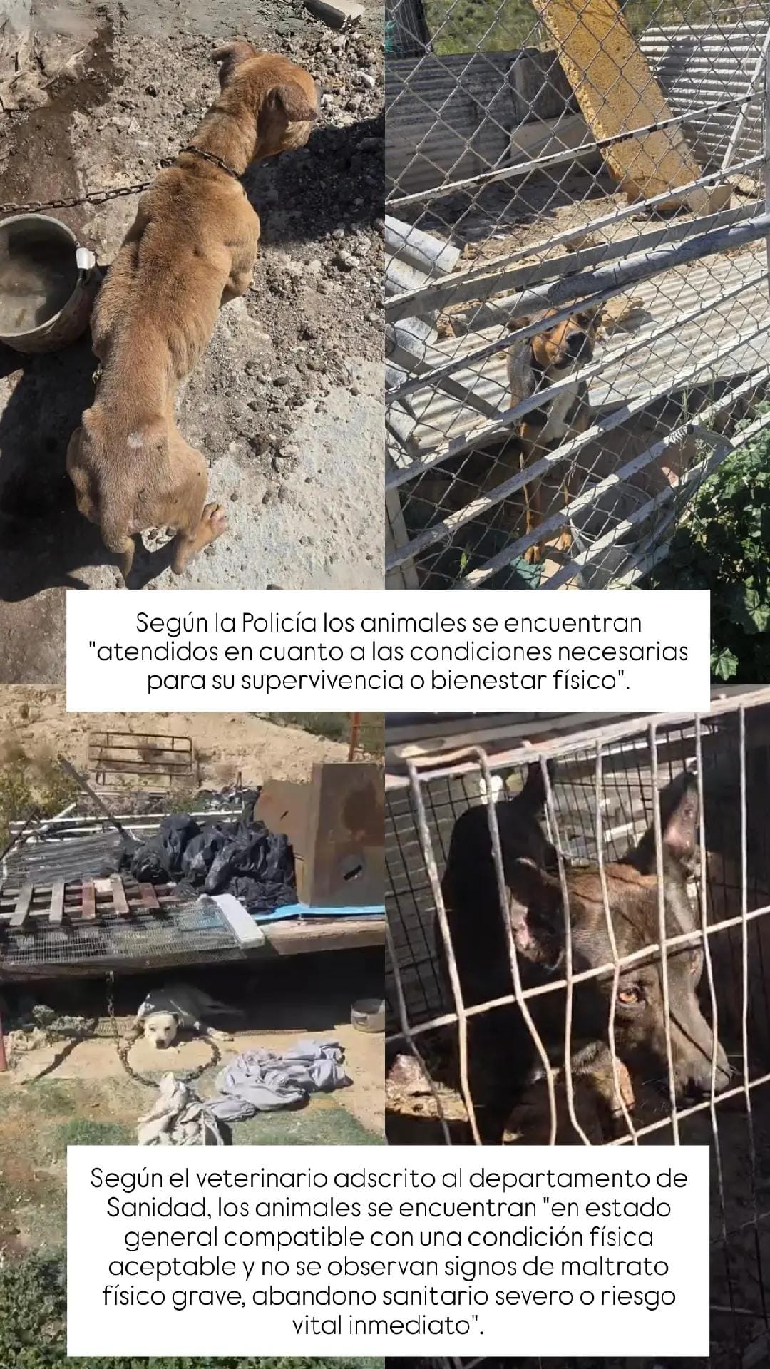 Post 7 by Asoka El Grande on TikTok (video)