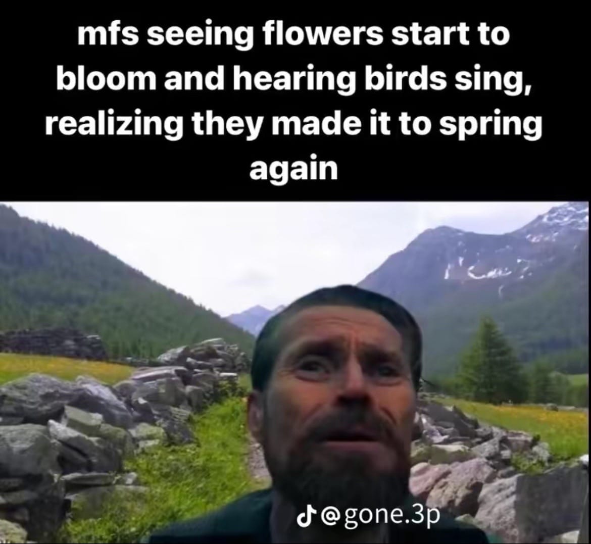Post 5 by javier on TikTok (video)